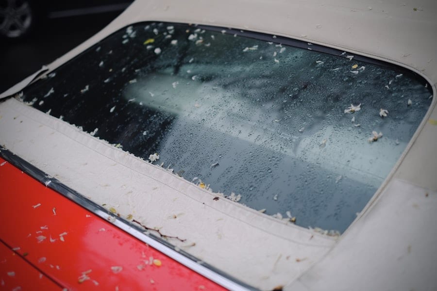 Photo Weather Affects Auto Body Rust
